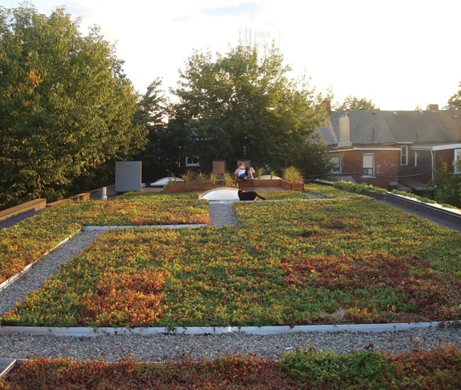 rooftop garden