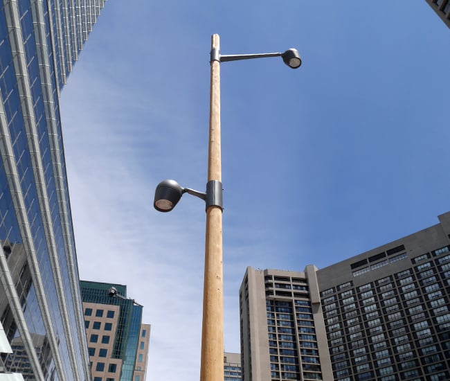 Lamp Posts with Playful Character