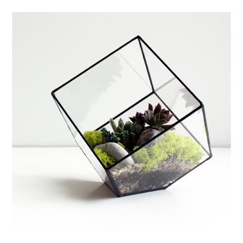 plant stores Toronto - Crown Flora Studio