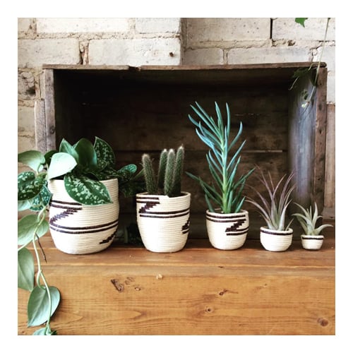 DL-0616-FloralShops-UrbanGardener-sq