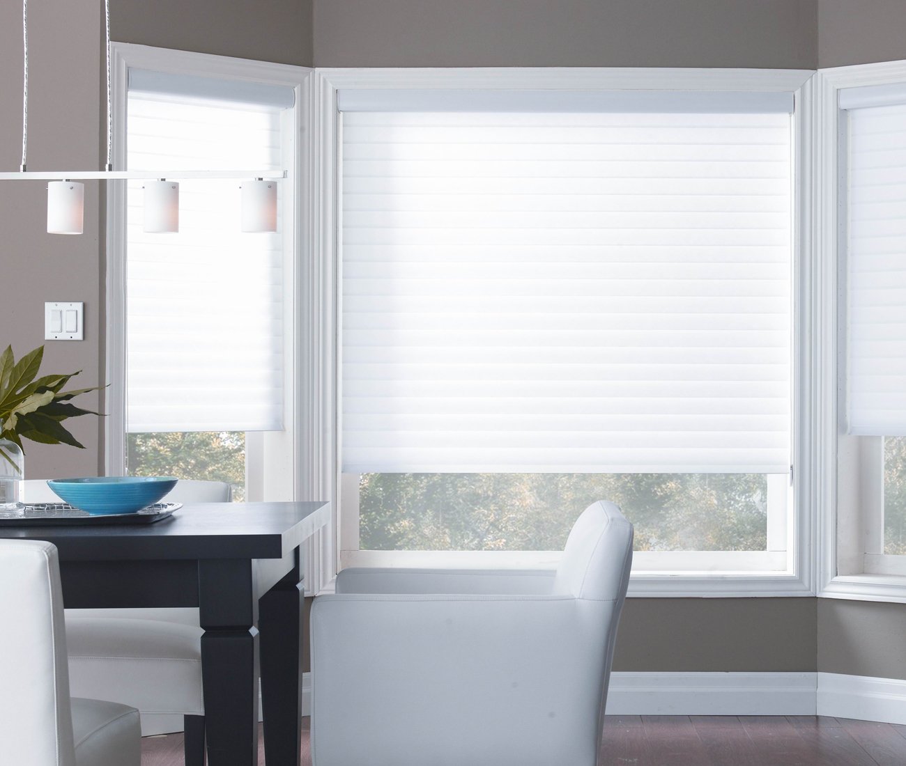 stylish window coverings - shades - shadeomatic
