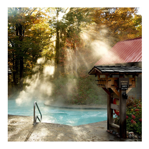 scandinavian restaurant toronto -scandinavespa