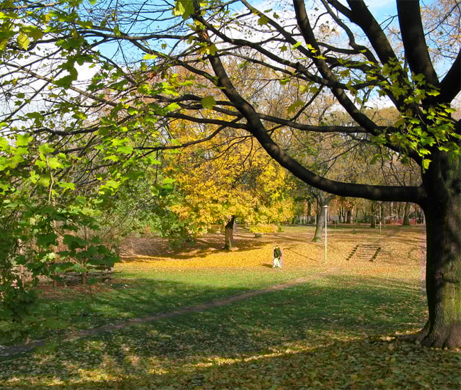 Dufferin Grove