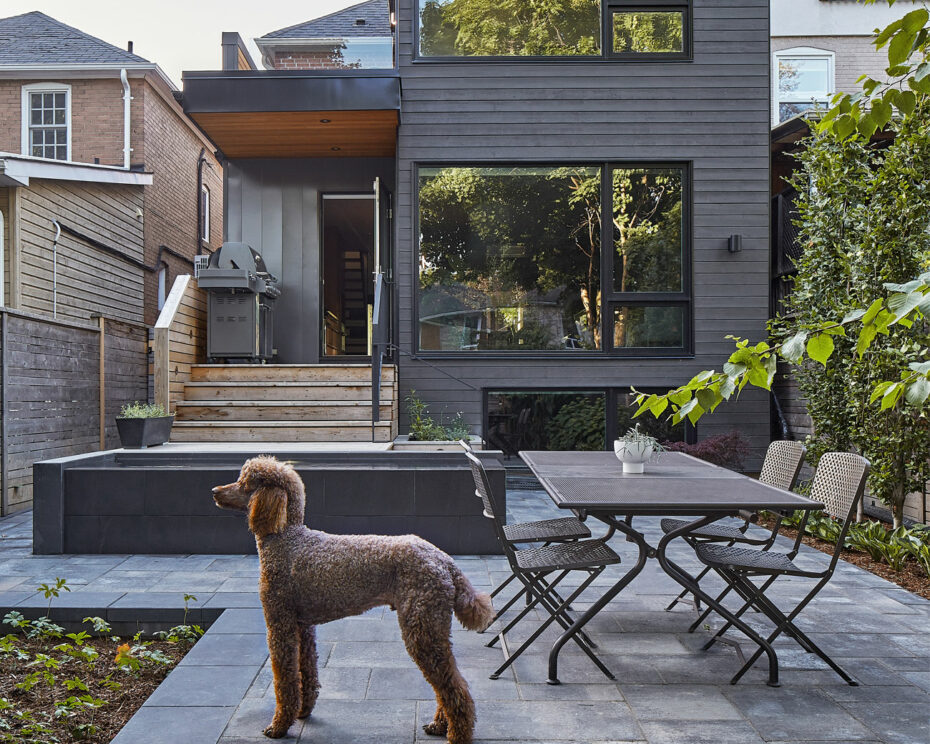 A dog is standing in the backyard of a modern home, Dogs of Toronto architecture
