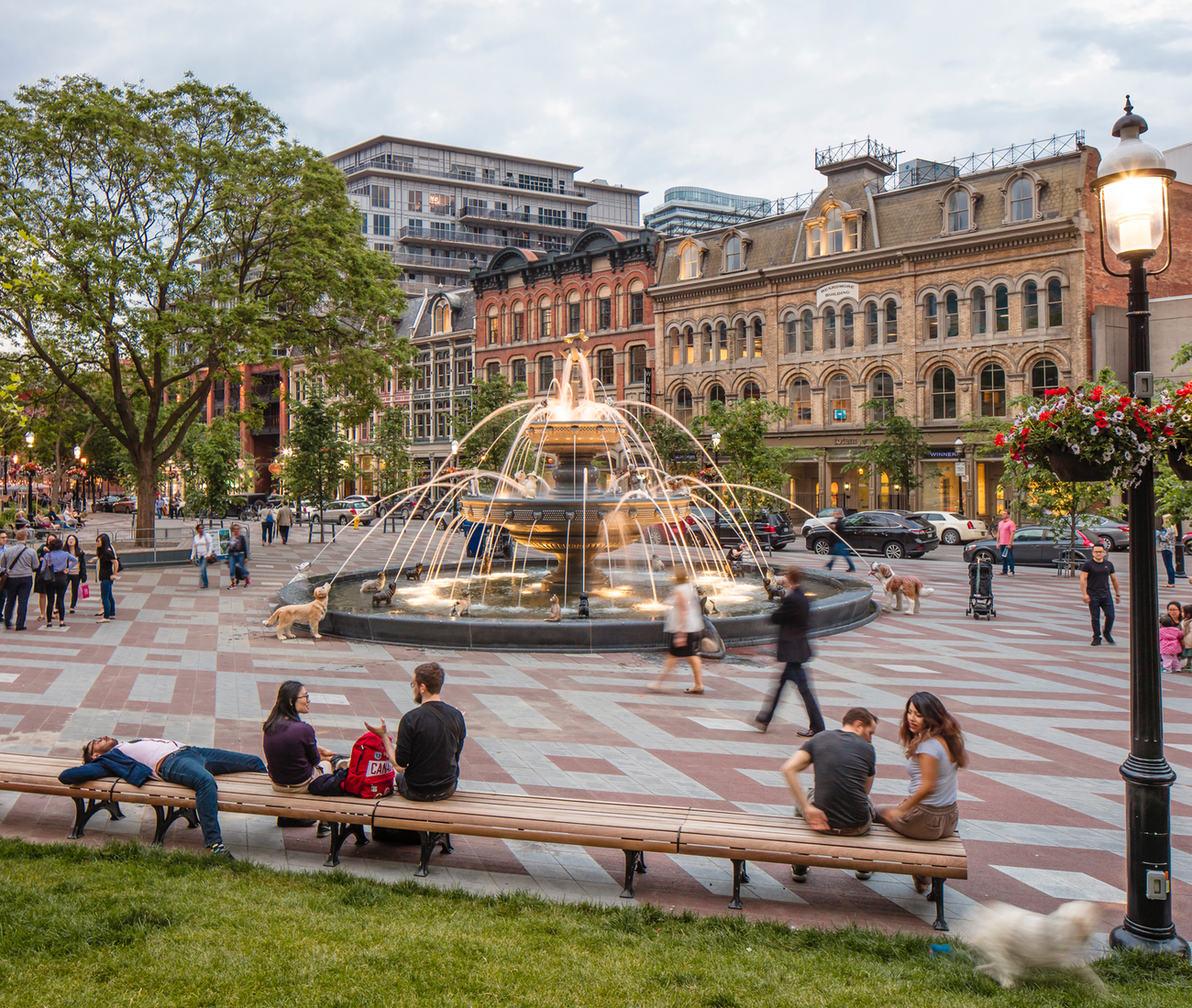Dog friendly Berczy Park in Toronto- Dogs of Toronto architecture
