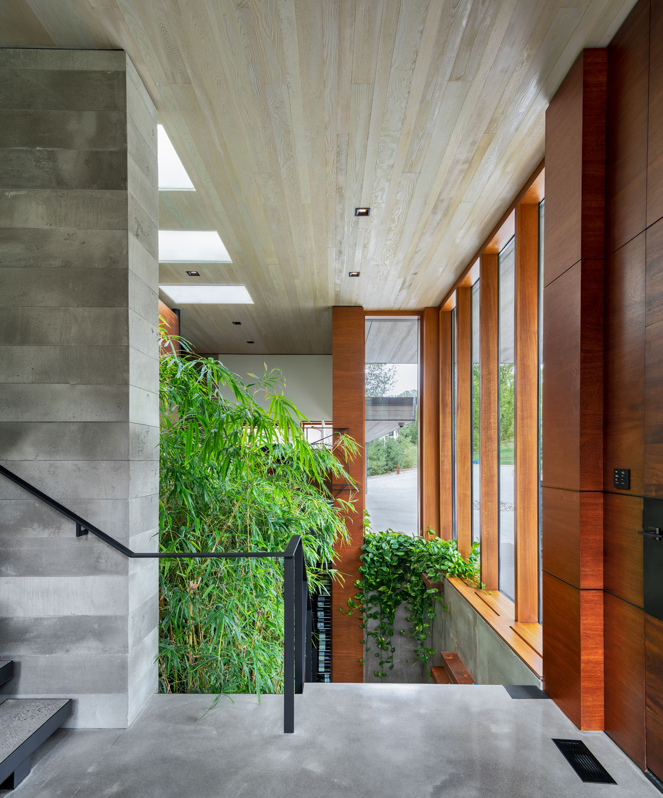 Indoor gardens toronto Designlines Trevor McIvor Architect Bamboo trees indoor garden visible from a house split-level
