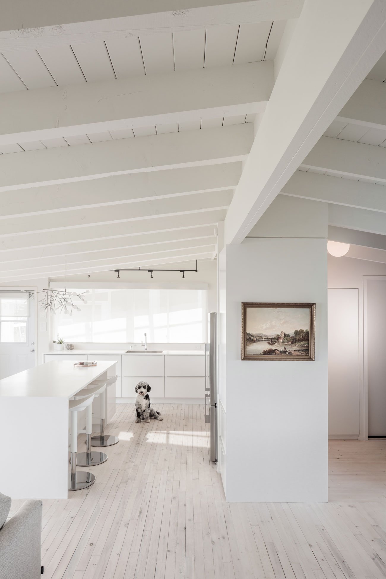 Jacob JeBailey Reign Architects Nova Scotia Cottage Designlines