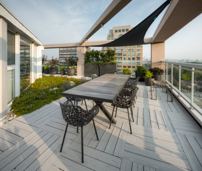 rooftop Garden ideas for spring