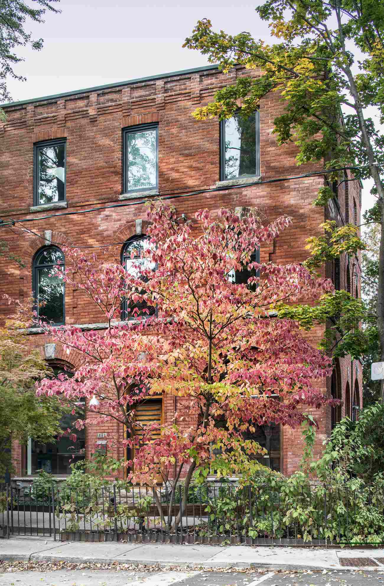Outside view of a home in Toronto with Millwork designed by Plant Architect