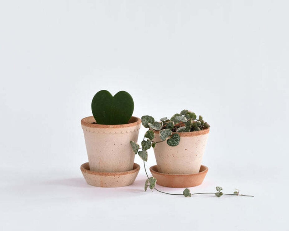Valentine's Day Gifts