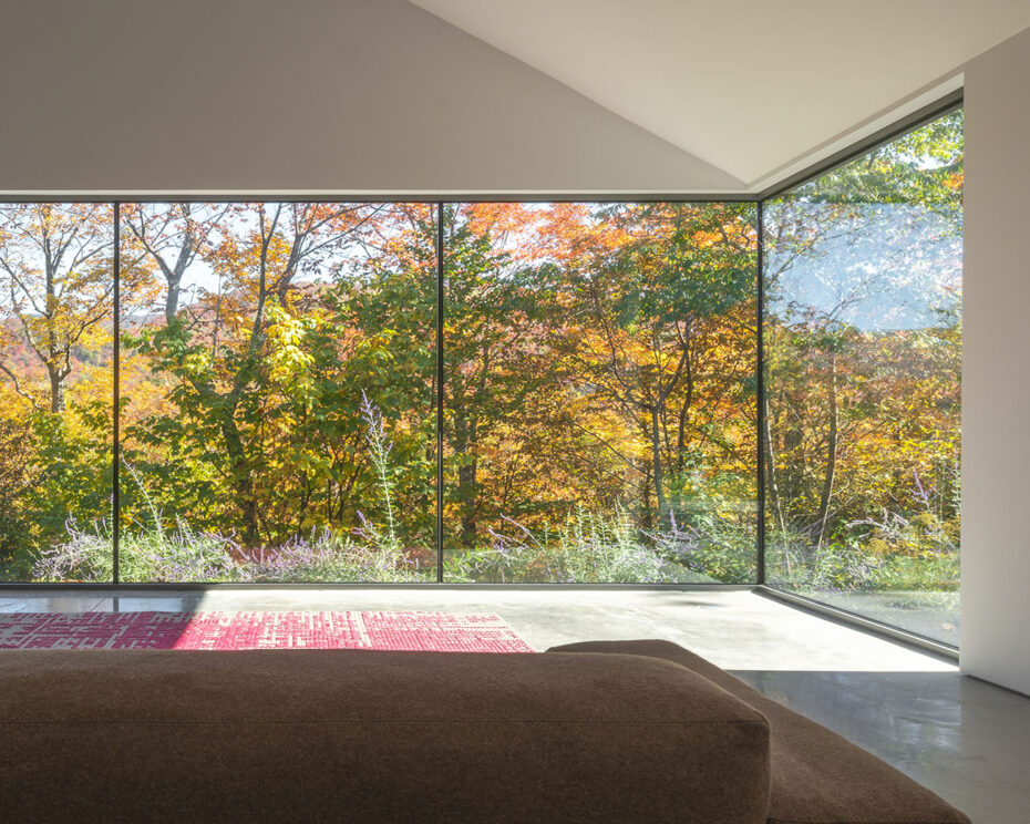full length windows