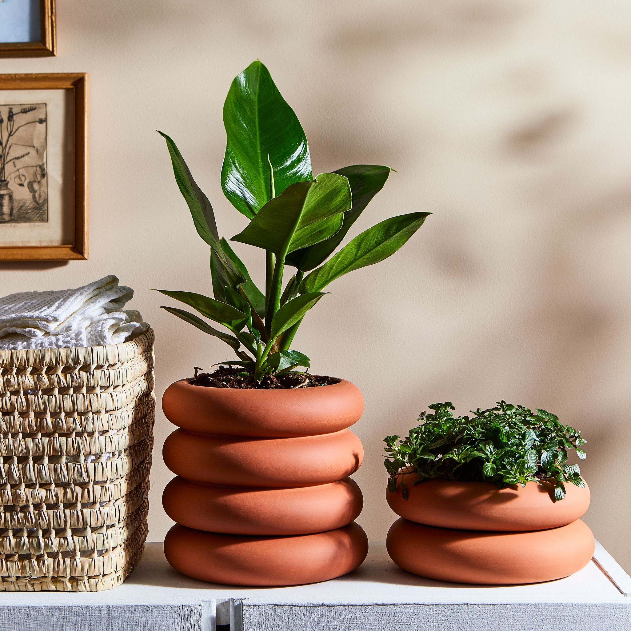 Last Minute Holiday Gifts - Areaware’s tubular terracotta
