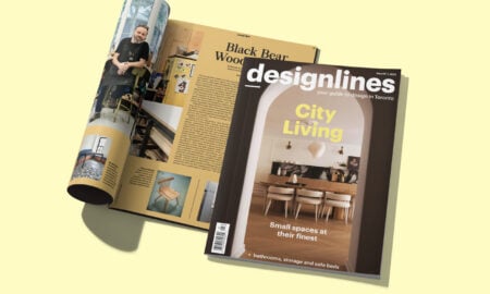 Small Spaces Issue