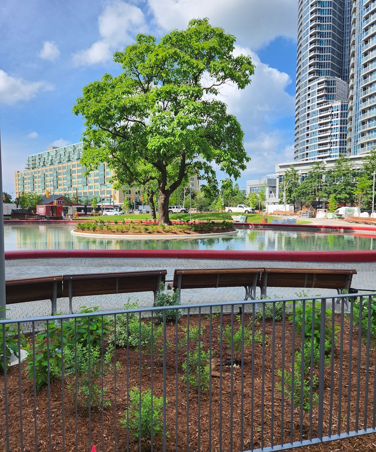 Love Park, Toronto Trees