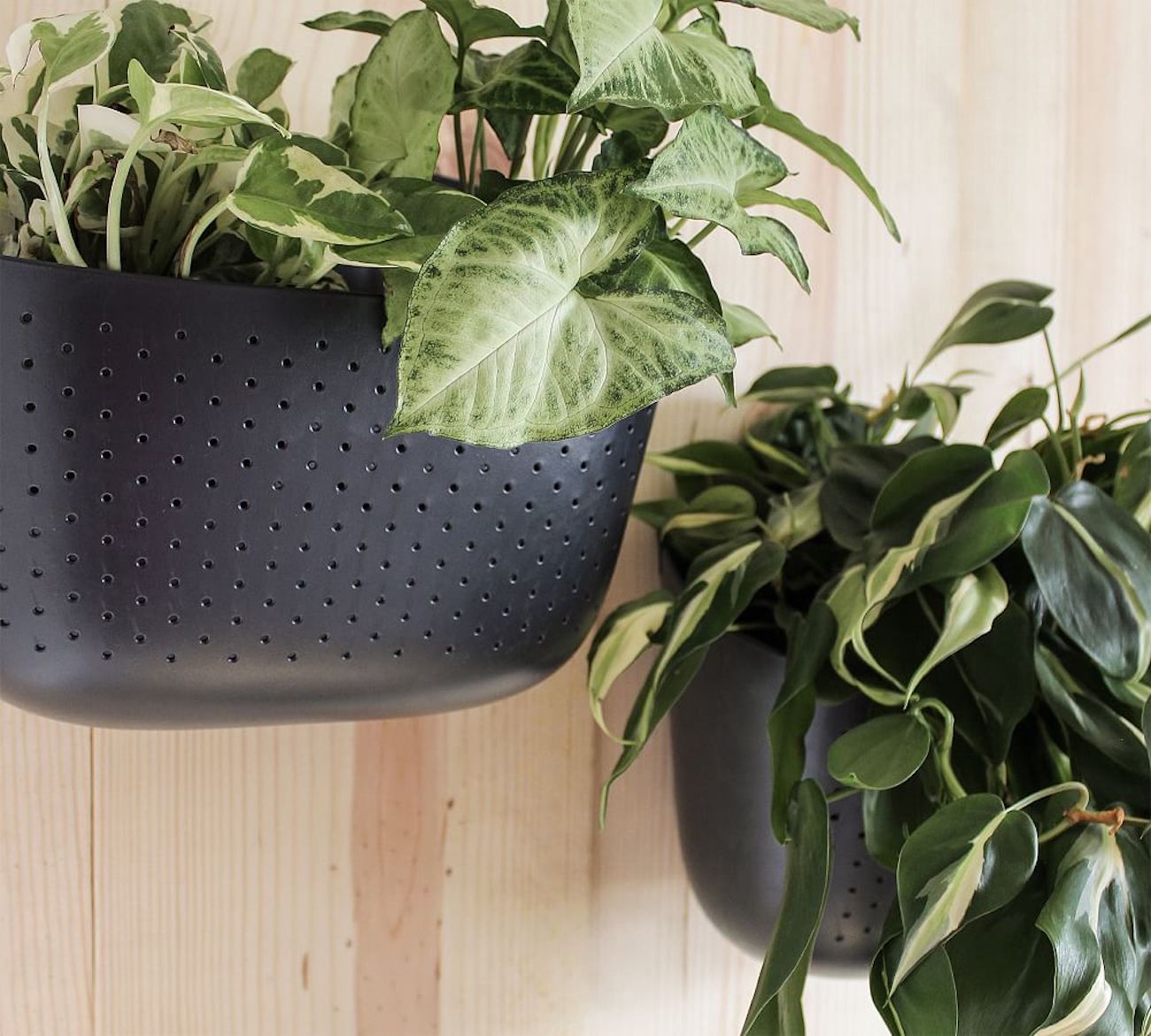 planter