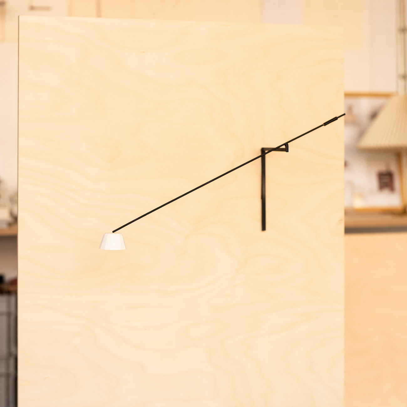 2024 Renovations Issue, Mjolk Product Launch
