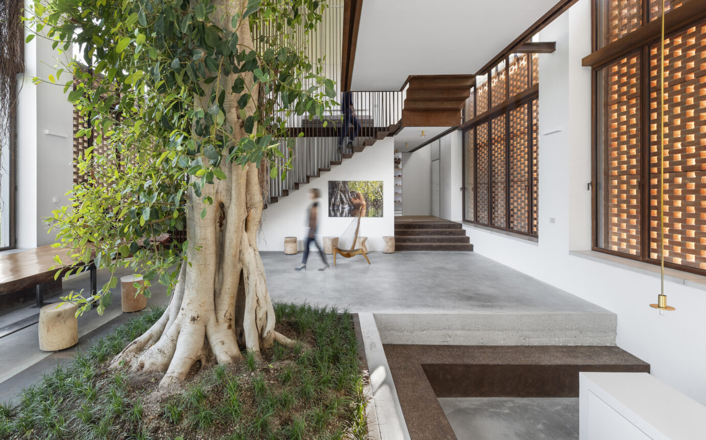 Designlines book reviews, House of Green